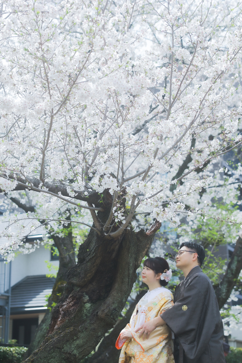 ソメイヨシノも！