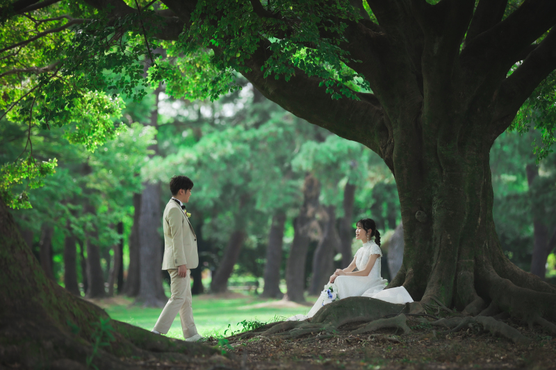 公園での撮影がこんなにドラマチックに！