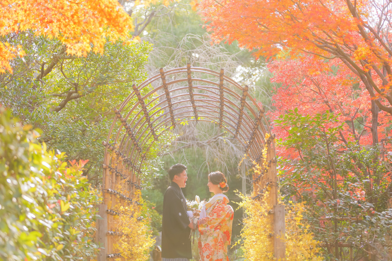 光でふんわりと