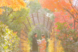 12月和装ロケーション