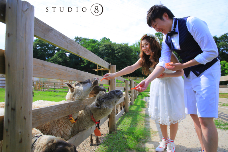 まずは、動物たちにご挨拶・笑