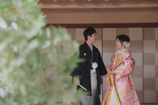 屋内庭園スタジオ