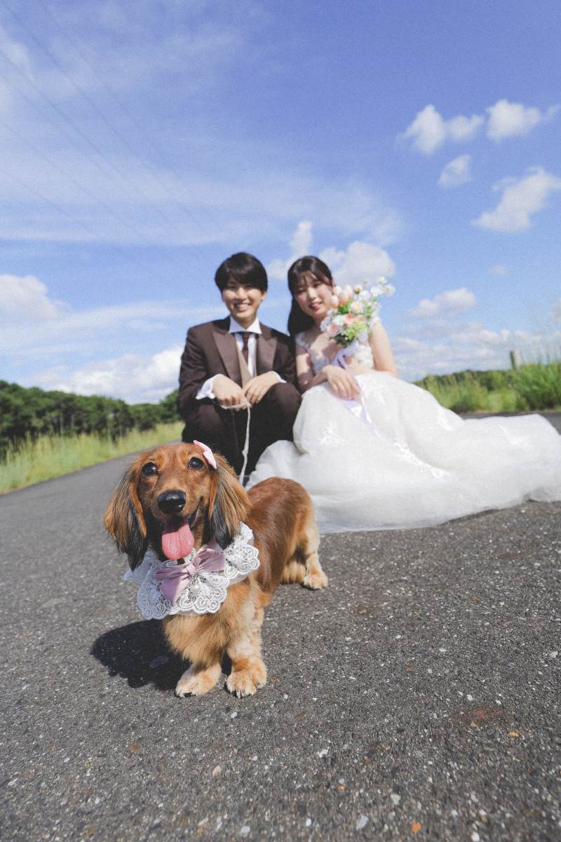 ワンちゃんも一緒！