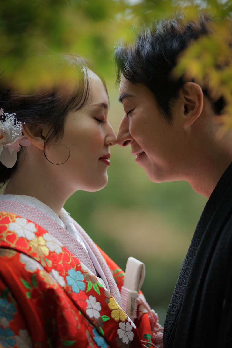 アップのショット