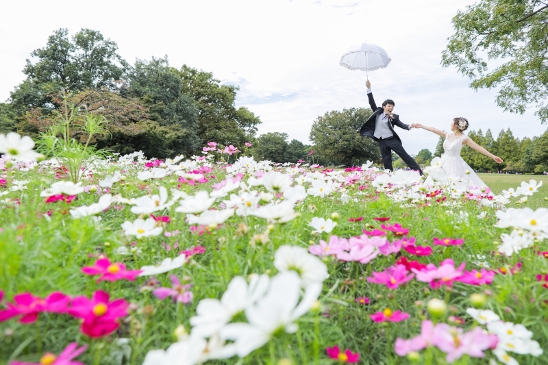 ふわっとフォト。