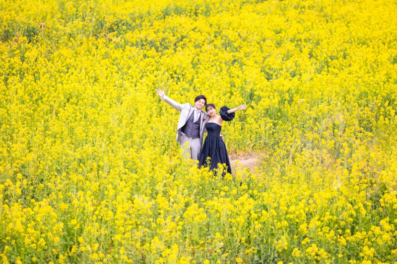 菜の花と伊良湖岬！!