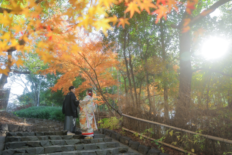 12月最後の紅葉撮影でした!