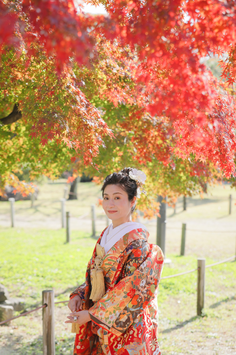 紅葉がキラキラ