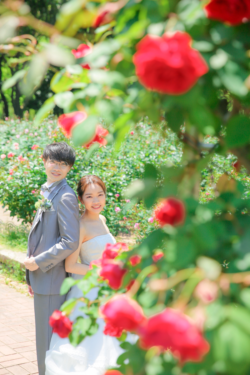 公園内のお花と