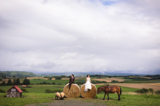 北海道の花畑と広大な景色