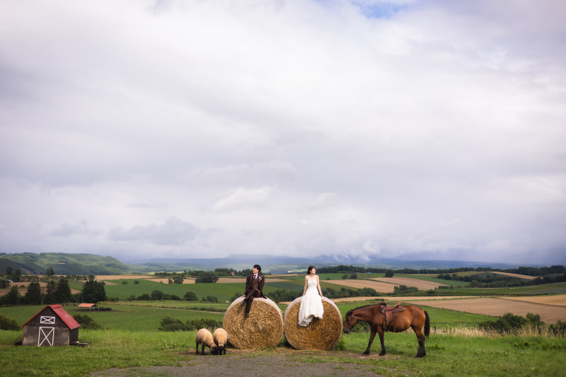 北海道の花畑と広大な景色