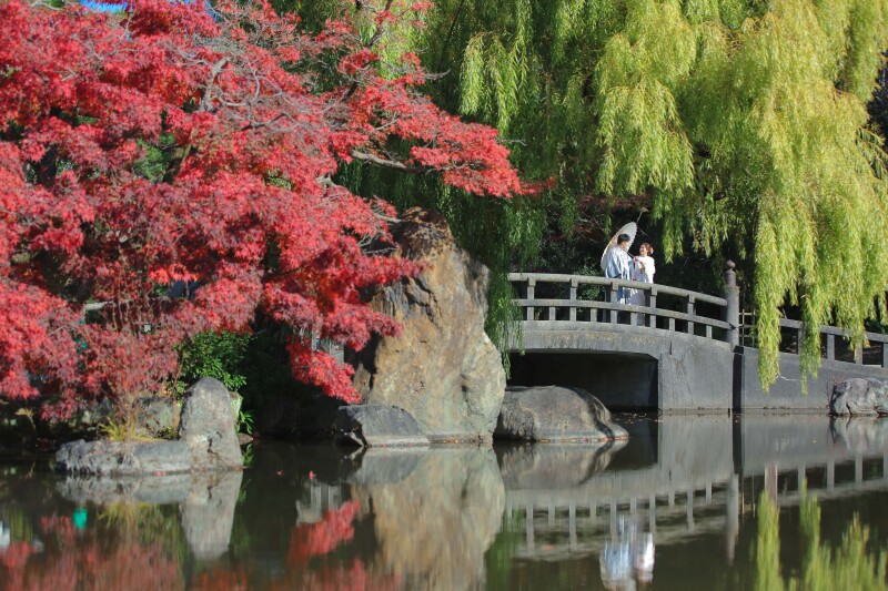 日本庭園と一緒に