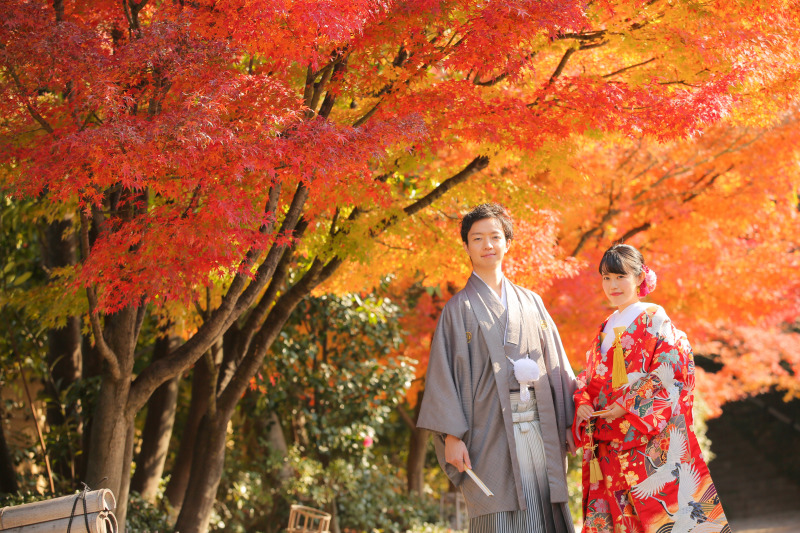 12月でもこんなに綺麗！