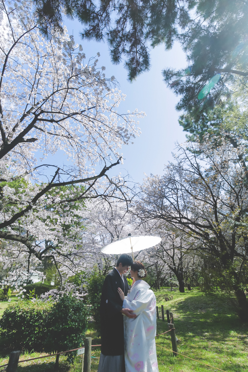 桜と庭園と青空と