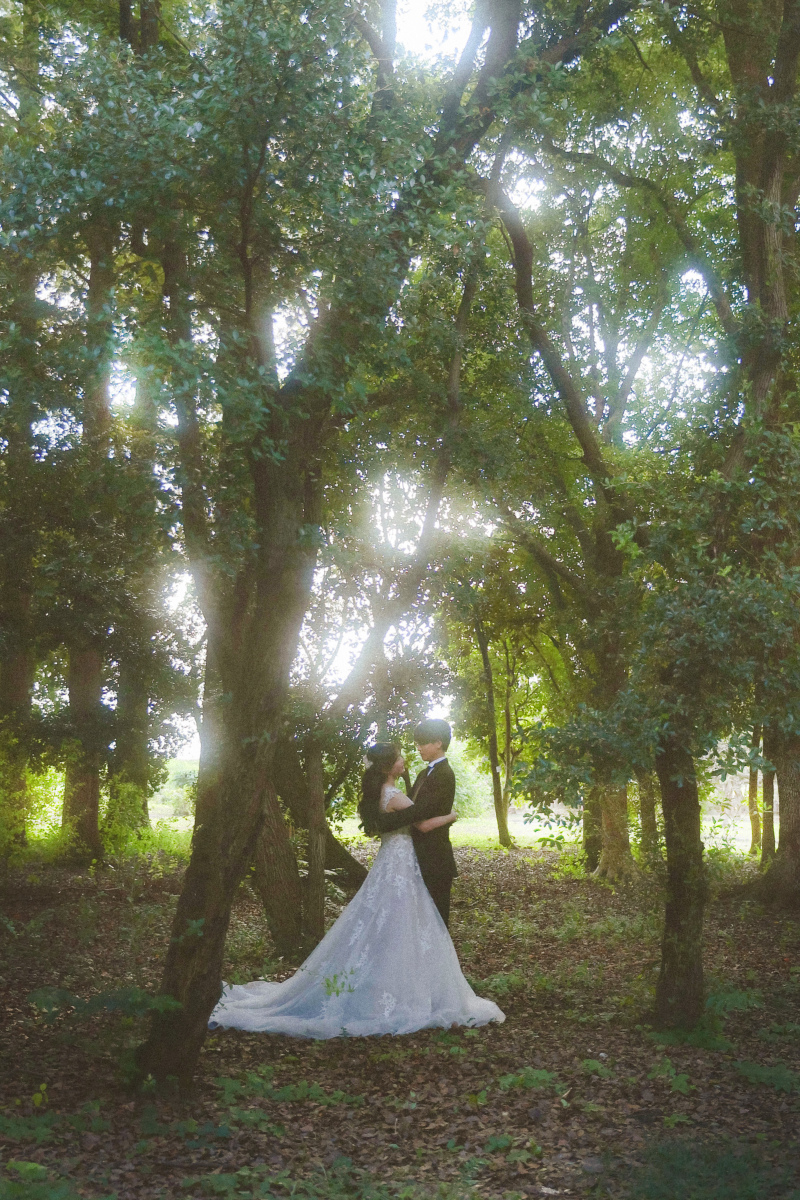 エモーショナル