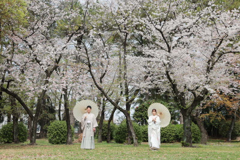 広場の桜を使って。