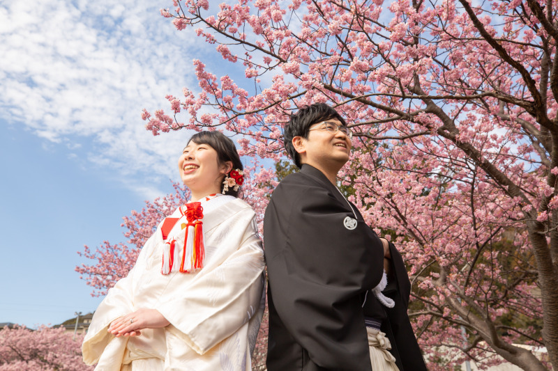 晴れ渡った空の下!