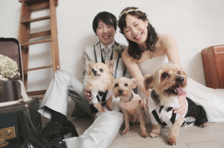 愛犬と楽しむウェデイングフォト
