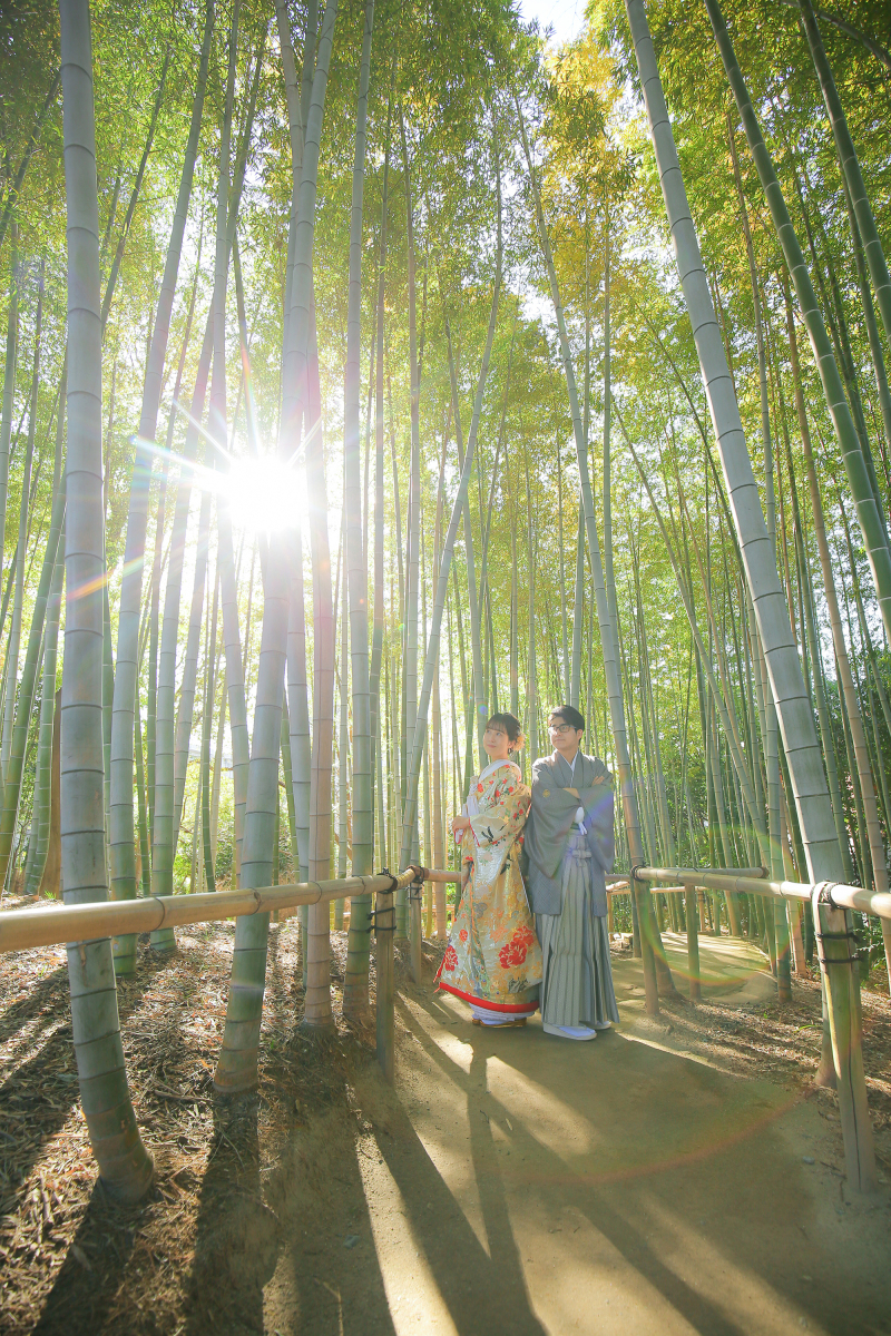白鳥庭園の竹林