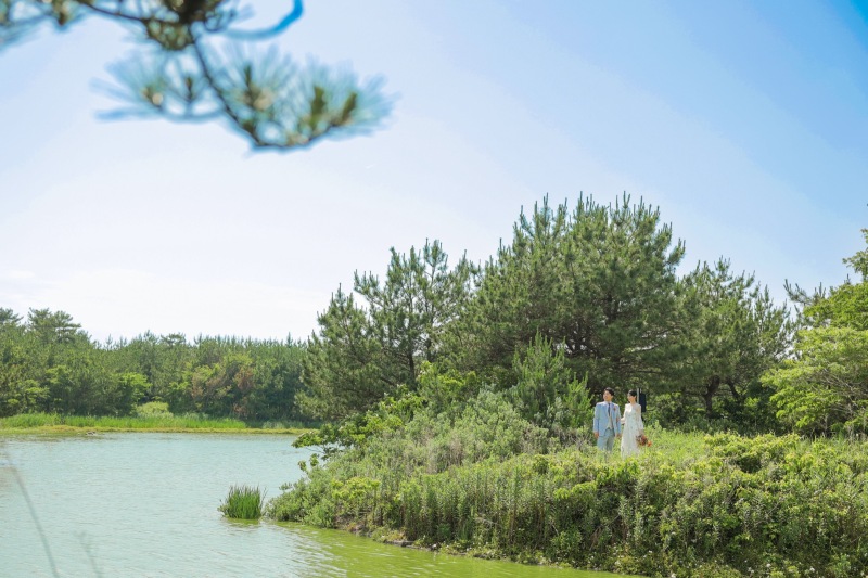 まずはグリーンフォト