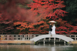 紅葉ロケーション