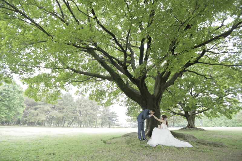 大きな樹の下で