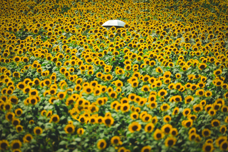 おふたりはどこにいるでしょう？