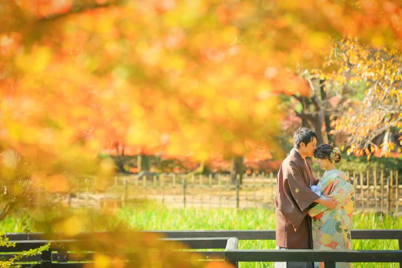 いろんな色のはっぱ！