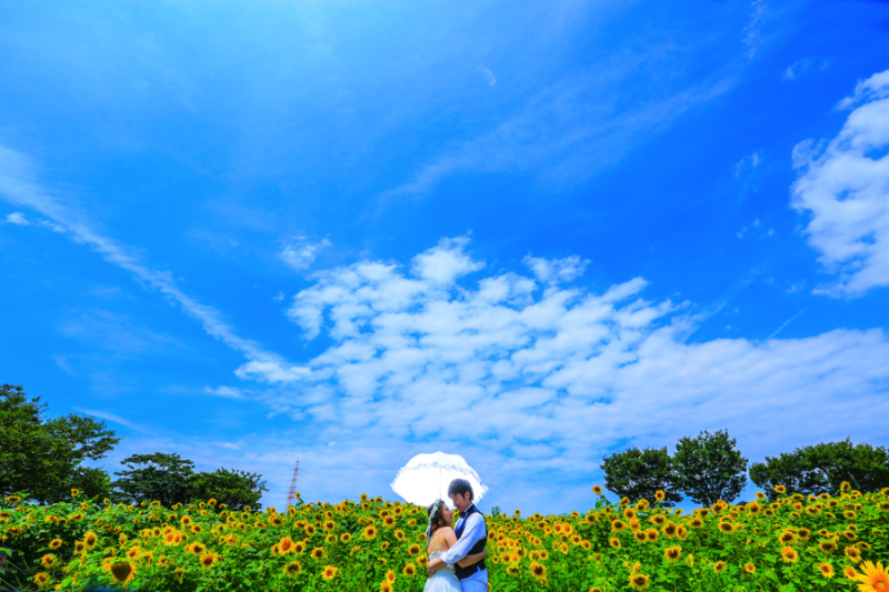 上から撮ると・・・