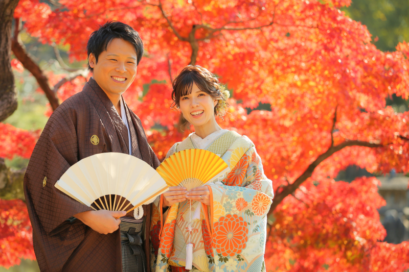 11月末がシーズンなイメージですが...