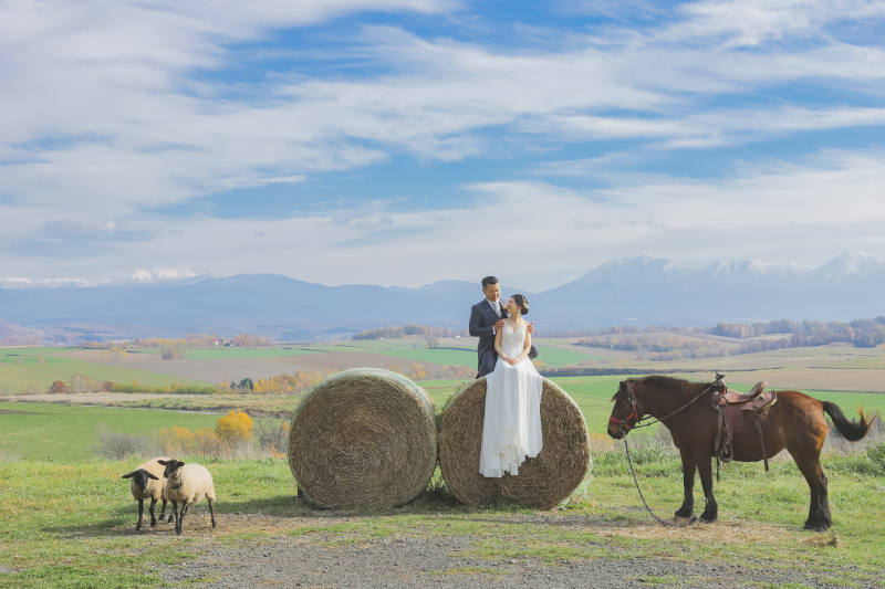 お馬さん羊さんと一緒に