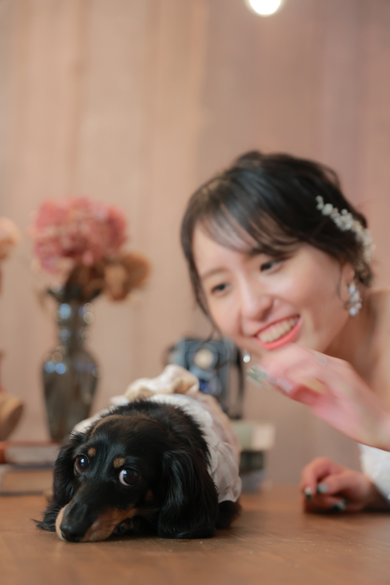 伏せのポーズで