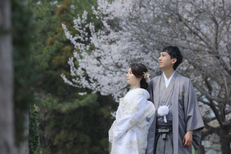 名古屋城桜ロケーション