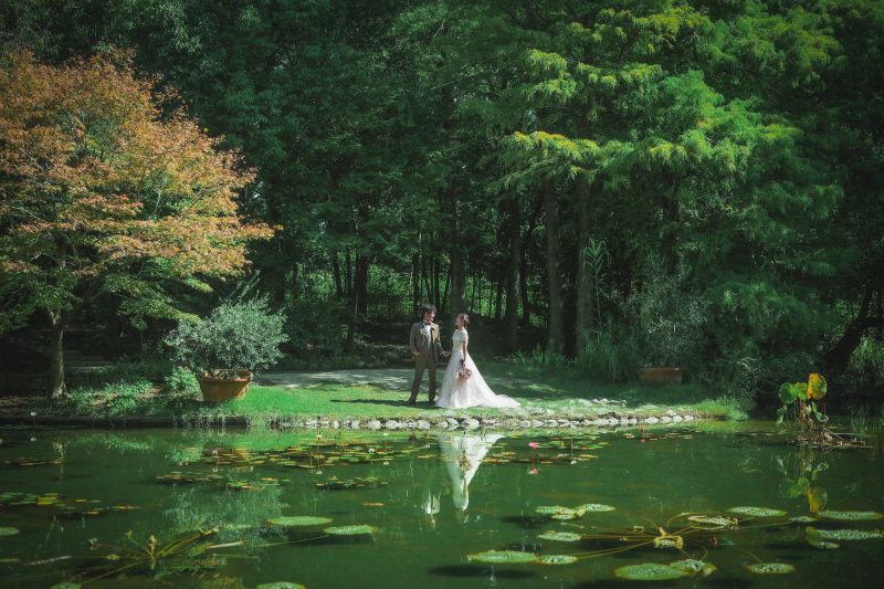 綺麗な公園です