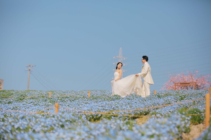 ネモフィラ畑でおさんぽ◎