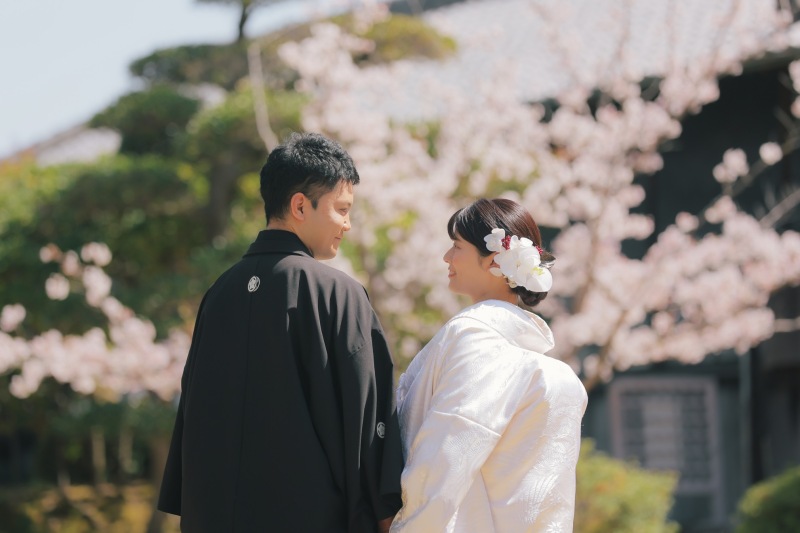 園内の桜を背景に