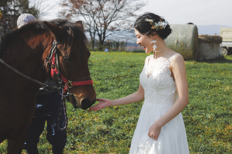 戯れましょう！