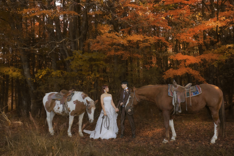 木々もオレンジ色で綺麗。。。