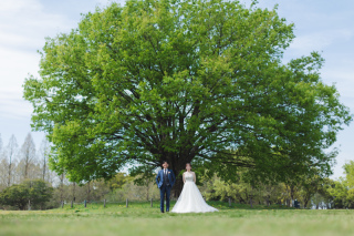 庄内緑地公園ロケーション