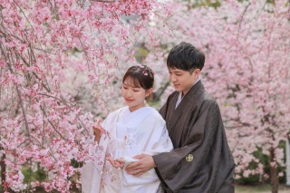 桜の時期の庭園で