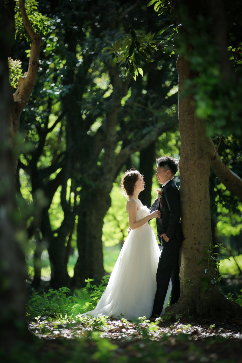 ドラマチックです!