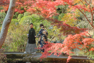 紅葉撮影ご指名いただきました！