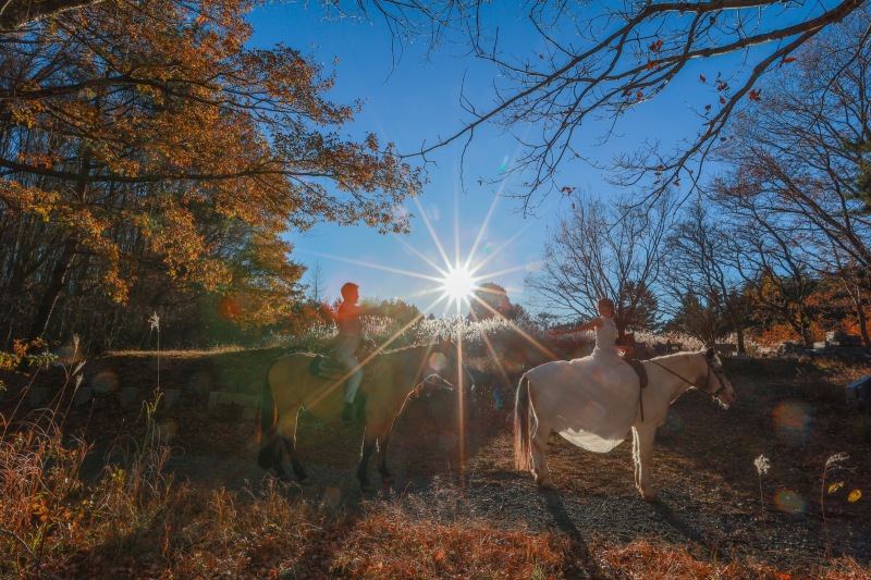 ダイヤみたいな太陽