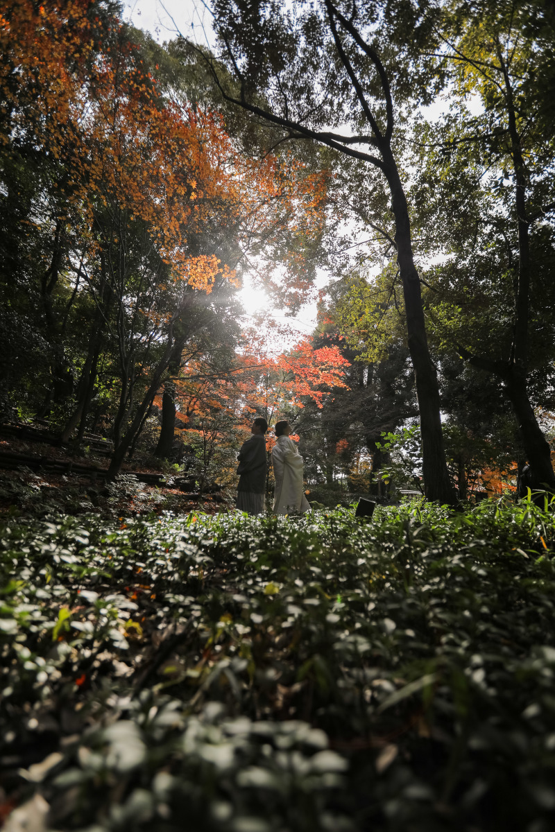 森の静けさを感じて