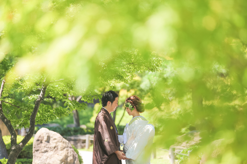 鮮やかな緑の中で。