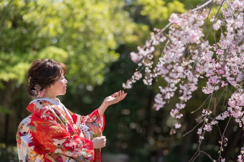 桜に手を添えて