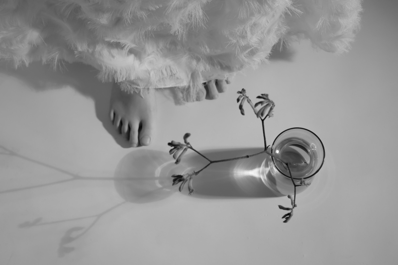 イメージショット