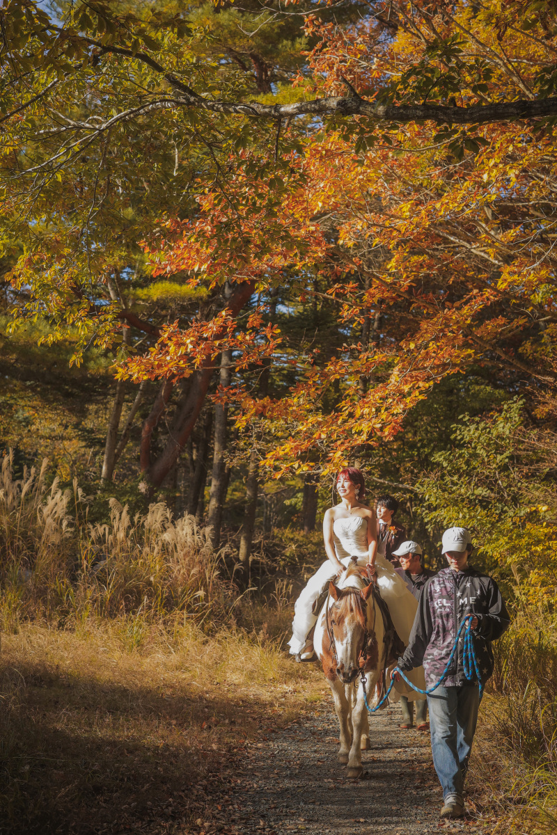 紅葉の乗馬