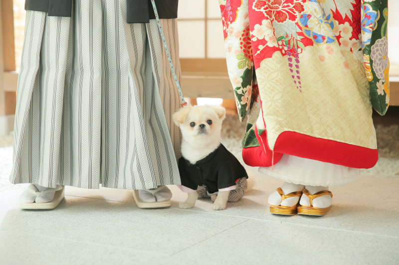 わんこメインショット♡