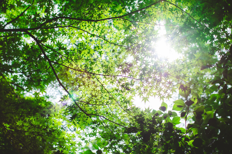 季節感の伝わる